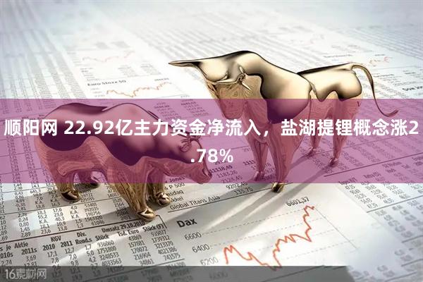 顺阳网 22.92亿主力资金净流入，盐湖提锂概念涨2.78%