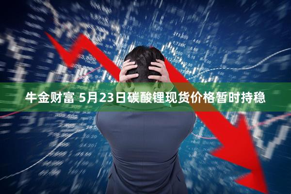 牛金财富 5月23日碳酸锂现货价格暂时持稳